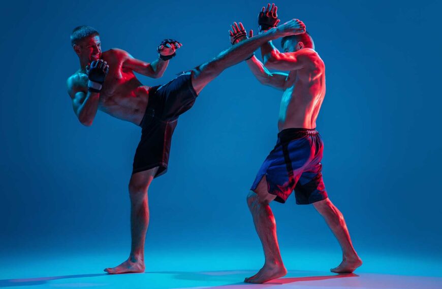 The Art of Muay Thai