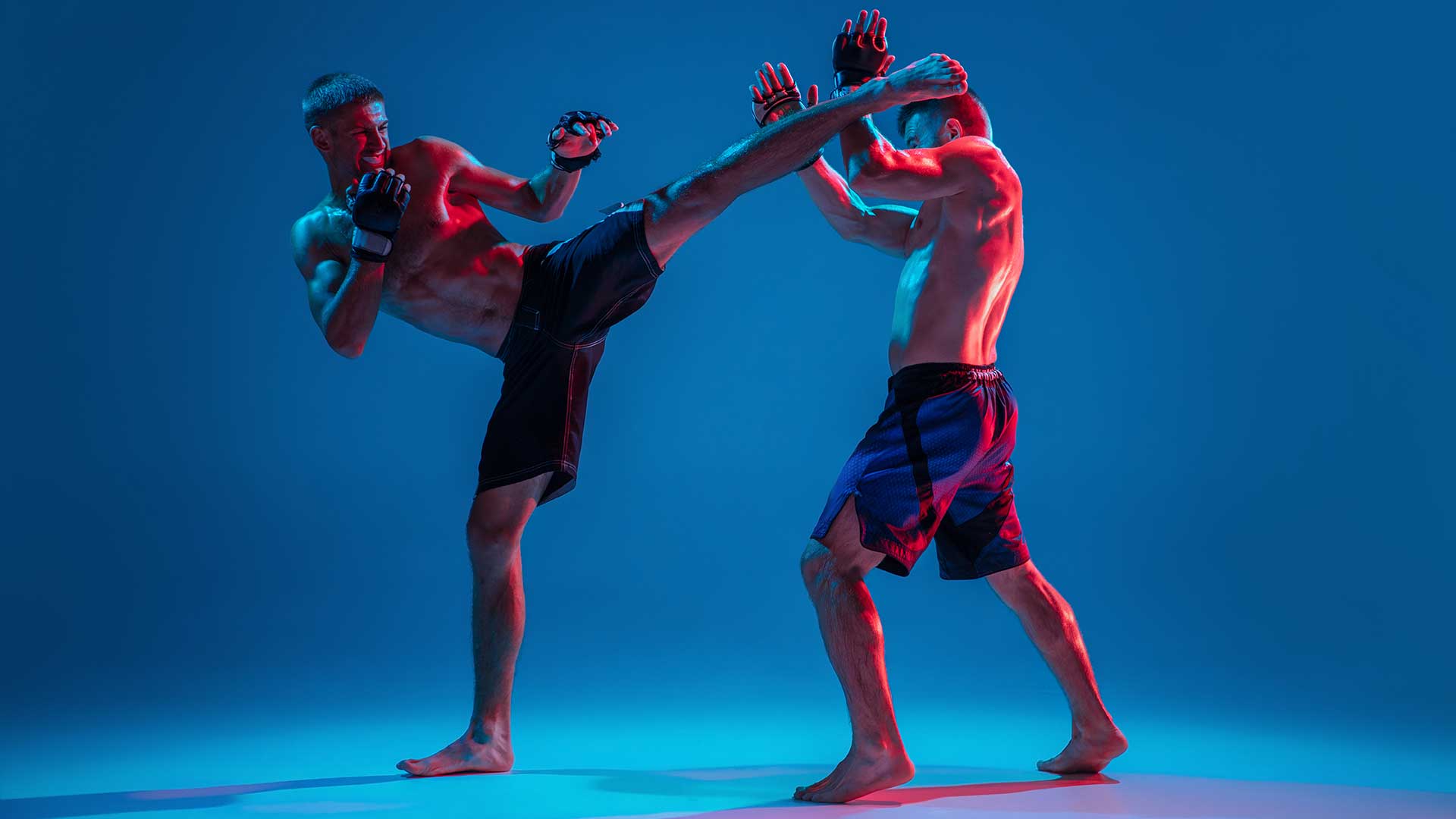 The Art of Muay Thai